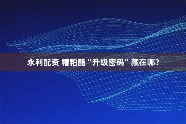 永利配资 糟粕醋“升级密码”藏在哪？