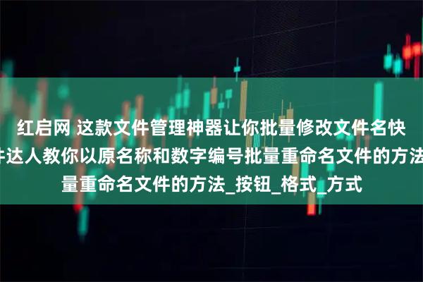 红启网 这款文件管理神器让你批量修改文件名快如闪电，办公软件达人教你以原名称和数字编号批量重命名文件的方法_按钮_格式_方式